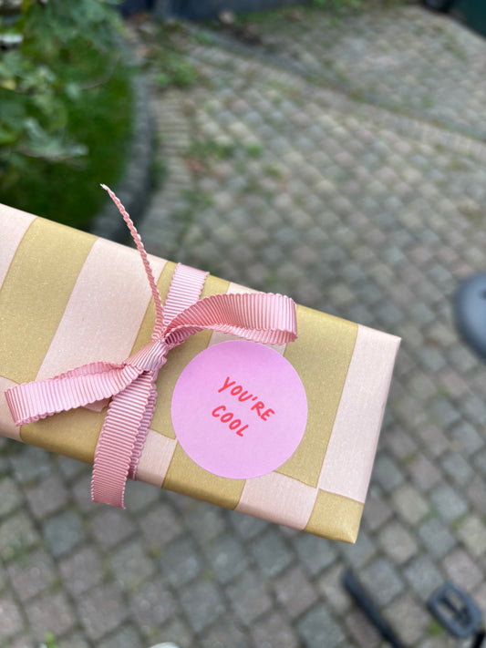 Sticker - You're Cool (10 stuks)